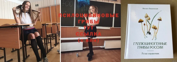 гидра Баксан