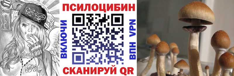 что такое   это формула  Псилоцибиновые грибы мицелий  Скопин 