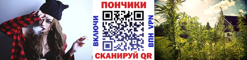наркошоп  Скопин  Бошки марихуана тримм 